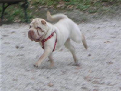 PICT2112.JPG