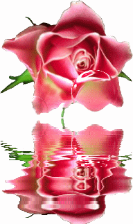 roosrosebel3ba.gif