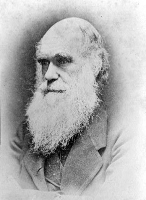 undated_charles_darwin.jpg