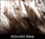 53gh6.th.jpg