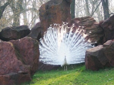 081124060_2_mn.jpg