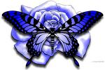 YCAD0FMUGCAASQ2XOCAUUASY6CAY30AYGCAFLWOSHCAQXRYUZCA8G7XM4CA4I9GDVCAO3U90JCATC2WIACAPAA0CGCA35M15WCAII2EQFCA1H5LC1CA5Y0M74CAWOIEMZCAV5DZU8CAZPJJM6.jpg