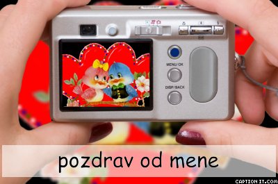 SJUDW012MH.jpg