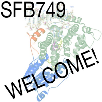 sfb749_welcome.jpg