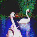 thLOVE-1.gif