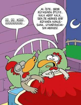 uykusunda-oten-horoz.jpg