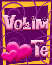 nova2.gif