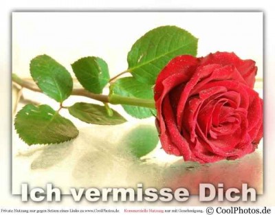 0701_09119_vermisse_dich.jpg