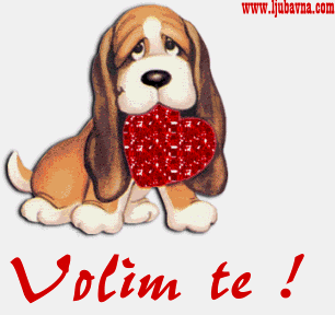 129_1vt003.gif