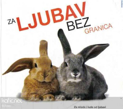 ljubav bez granica.jpg