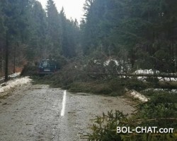 Vanredna stanja: Nekoliko gradova ostalo bez struje