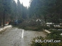 Vanredna stanja: Nekoliko gradova ostalo bez struje