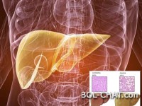 Masna jetra može biti opasna: Evo kako da uvek budete zdravi .
