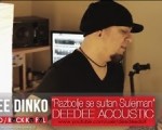 Razbolje se sultan Sulejman - DeeDee Dinko(ROCK KO FOL/POTEZ) - (Acoustic)