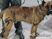 Sweden: Drawn a hooked cross on a dog and received a fine of 1,300 euros