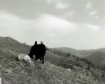 Božo Vrećo x Velahavle - Sine