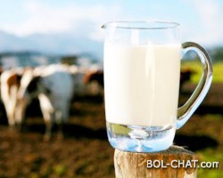 DISCLAIMER: Here's what's really 'fresh' and 'permanent' milk and why they have nothing to do with raw milk