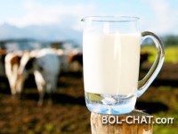 HAFTUNGSAUSSCHLUSS: Hier ist, was wirklich "frische" und "permanente" Milch ist und warum sie nichts mit Rohmilch zu tun haben