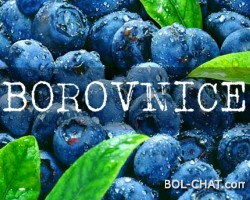 Da su borovnice proizvod farmaceutske industrije, one bi bile hvaljene kao najveće ‘čudo’ u povijesti medicine