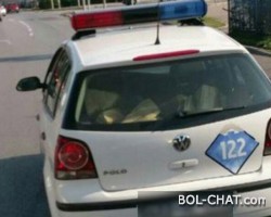 Samo u RS_u: Policajci iz entiteta republike  srpske u službenom automobilu prevoze drva.