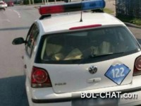 Samo u RS_u: Policajci iz entiteta republike  srpske u službenom automobilu prevoze drva.