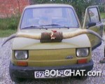 My Car