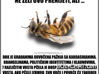 Pročitaj ☝️ i podijeli sa prijateljima....