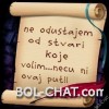 User