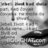 User