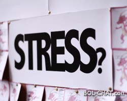 Study: Stress causes brain contraction!