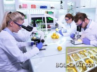 UNIVERSITY STANFORD: Gefrorene Zitrone ist viel stärker als Chemotherapie