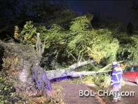 Dangerous storm: Skier killed in France, wind blows train with rails in Switzerland