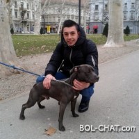 User