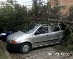 Jak vjetar uzrokovao probleme širom FBiH