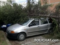Jak vjetar uzrokovao probleme širom FBiH