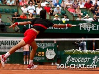 Fantastic Nole kicked out Verdasco and finished in the quarter-finals