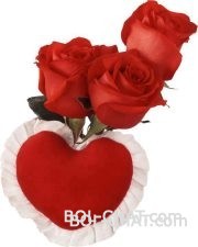 samo za tebe trazimte, ova ruza i srce i moj osme sve za tebe<3<3