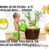 User