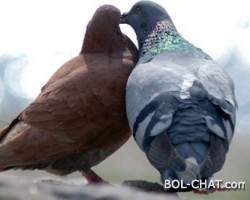Sabur je kad u sebi nosiš toliko bola, a ispred ljudi stojiš nasmijan!