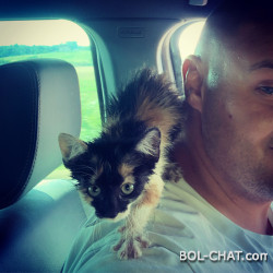 Bol-chat chat balkan Balkan Chat